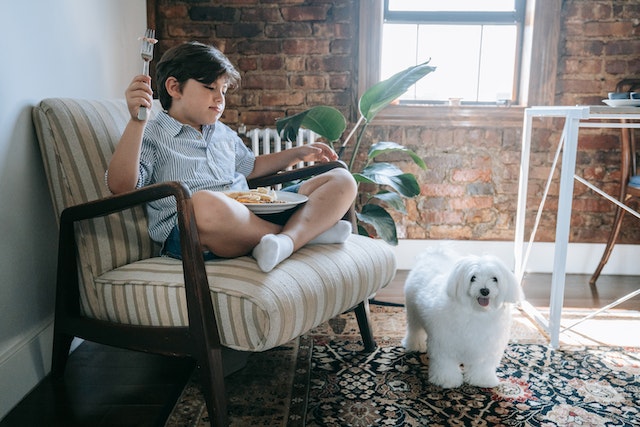 Child eating on a chair with small white dog at their feet